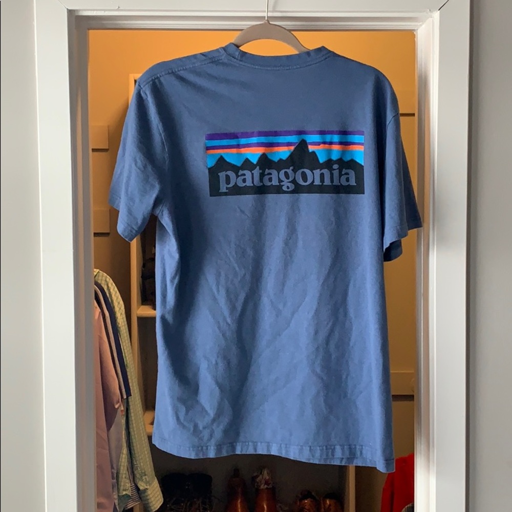 Patagonia tee